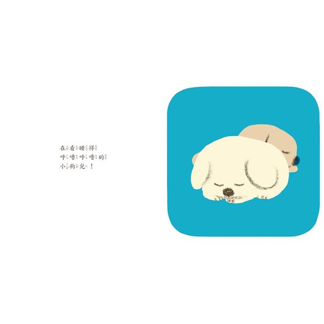 照片來自於小魯文化