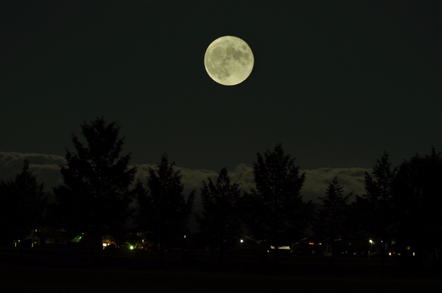 照片來自於photo-ac.com