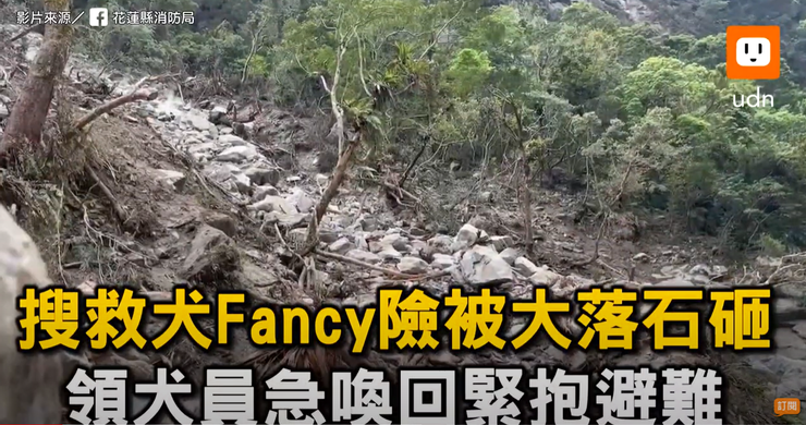 照片截取自 udn video 