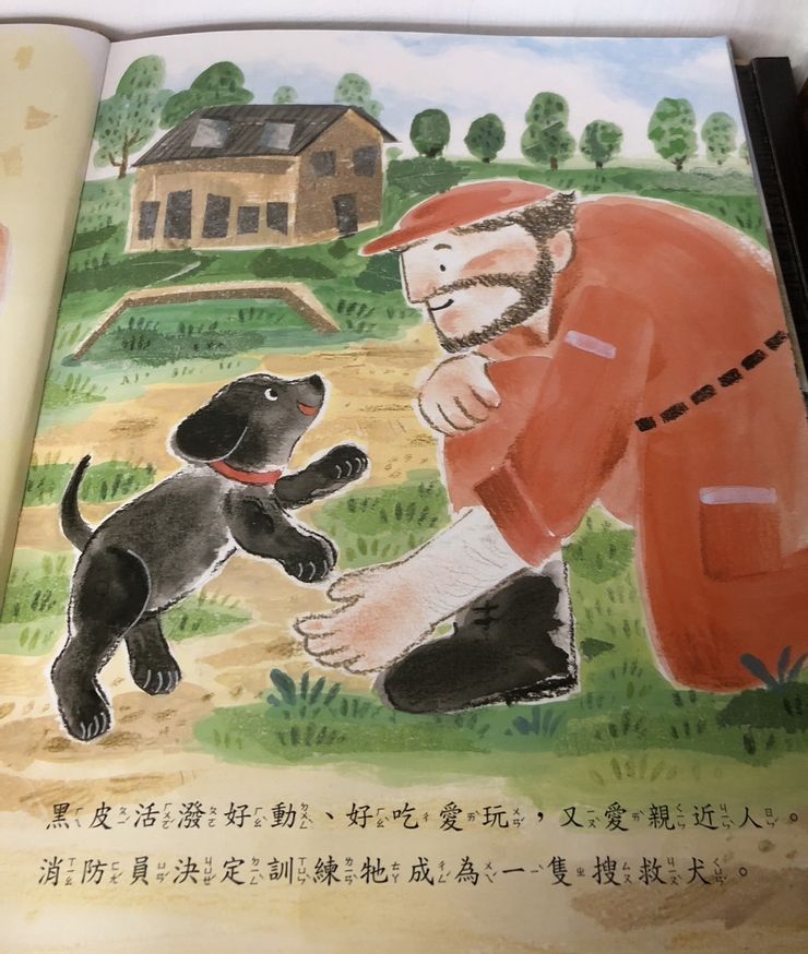 黑皮的活潑好動、愛吃愛玩，反而是成為一名搜救犬的特質。自家拍攝，版權所有