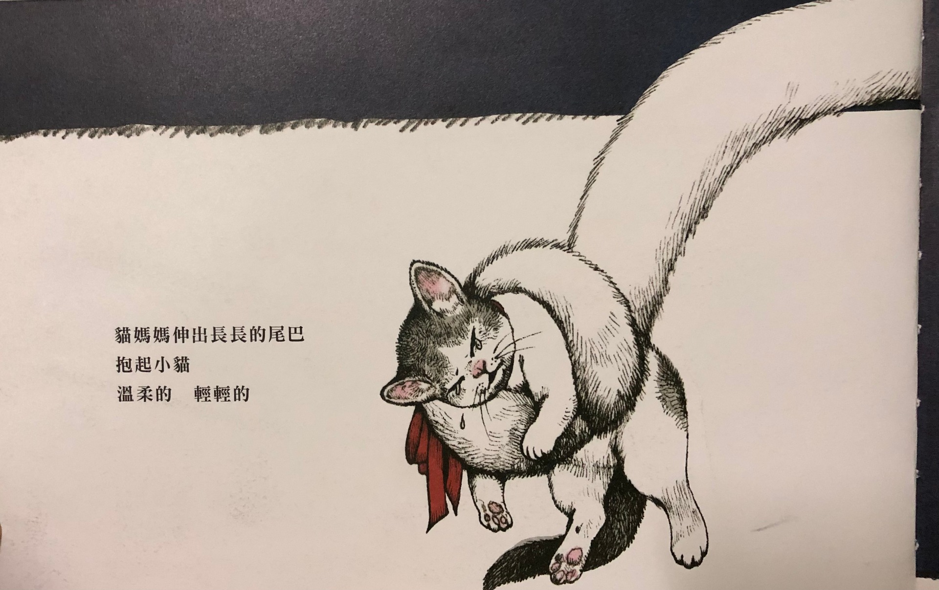 一個尾巴就能解決的事，貓媽媽卻甘願讓小貓去哭去奔跑，如何幫忙孩子是一種智慧，如何忍住不幫也是一種修行。