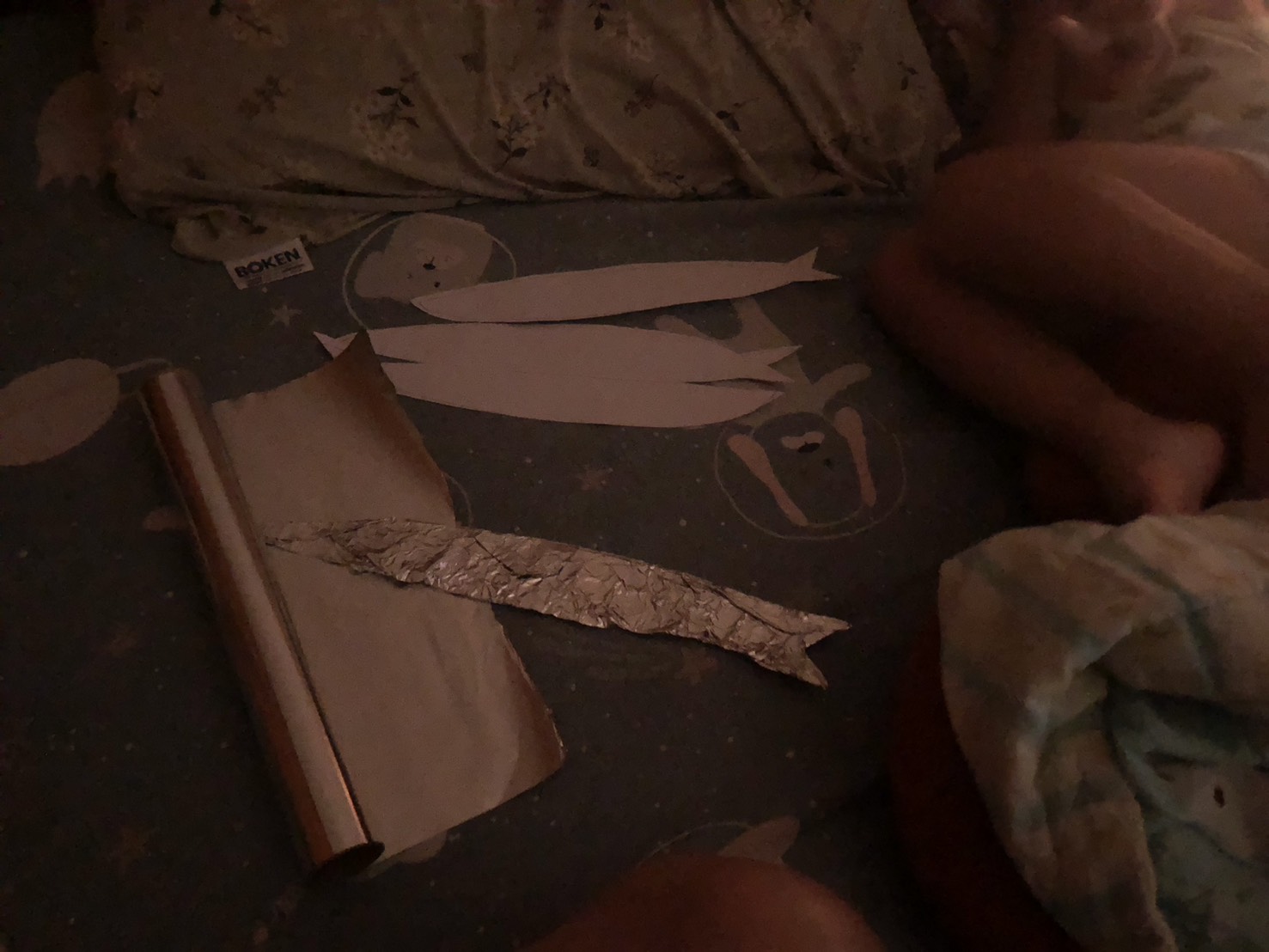 照片來自於自家拍攝