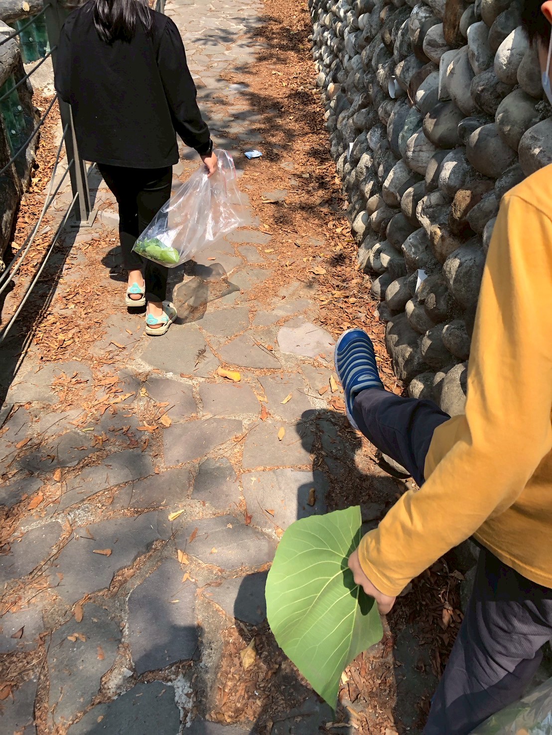有小孩說：「我好喜歡踩葉子的聲音，好好聽，心情好好～」