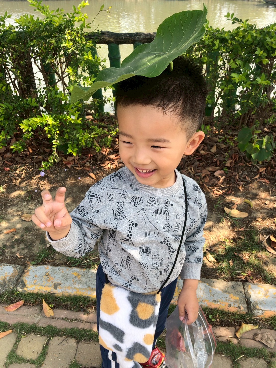 發現有大得可以變成帽子的葉子，我們都驚呼起來。