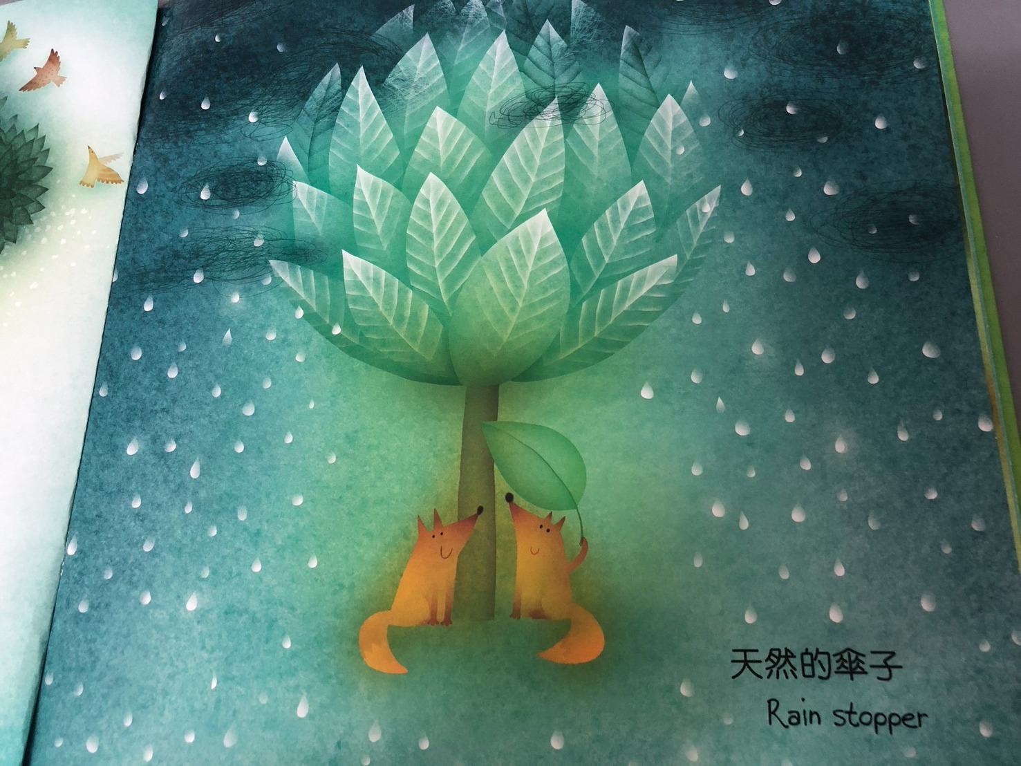 當我們先前共讀繪本時，裡面其中一頁就正好說道，葉子可以用來當傘呢！哈哈！
