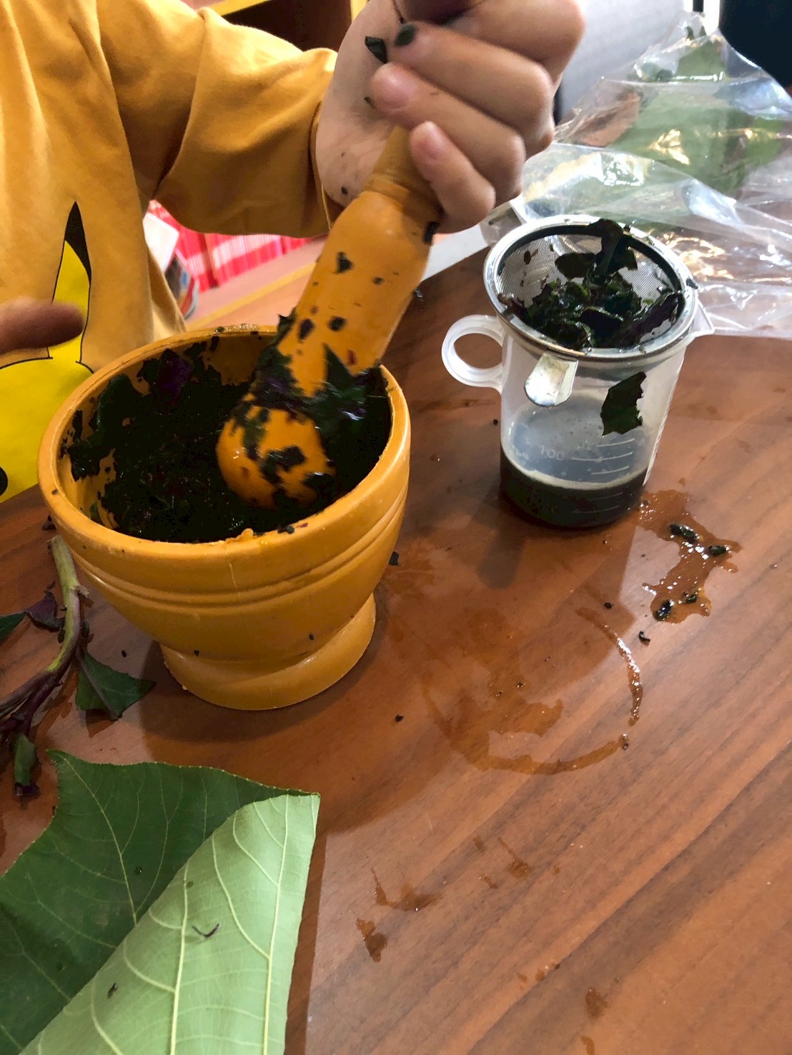 孩子們把撕碎的菜葉放進搗藥缽裡。