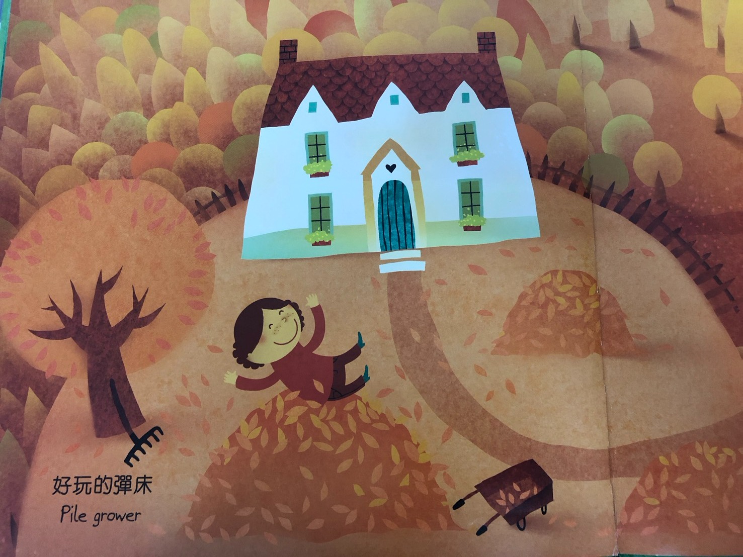 葉子還可以是好玩的彈跳床。