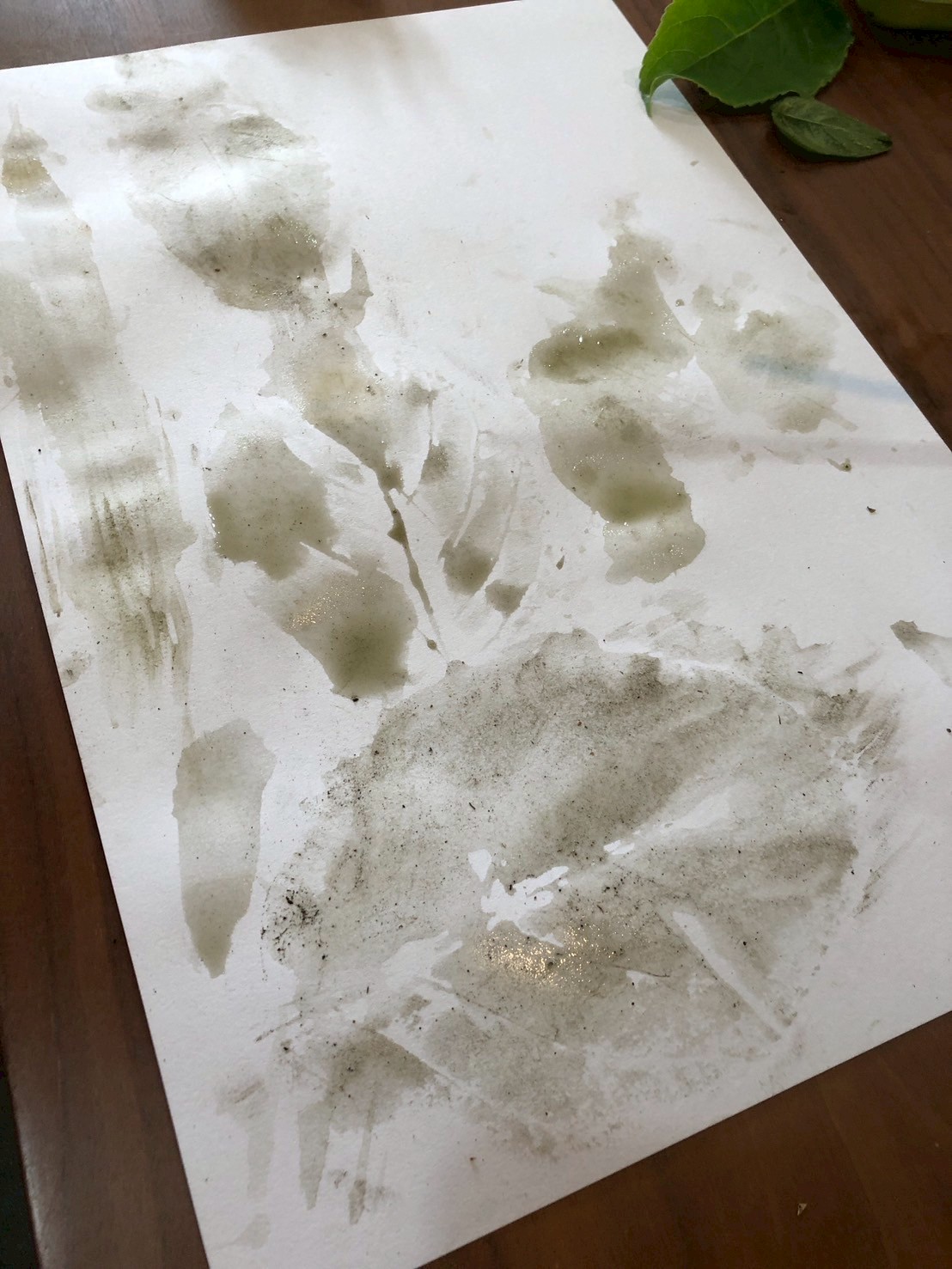 孩子的作品是充滿自然美的葉片拓印畫！