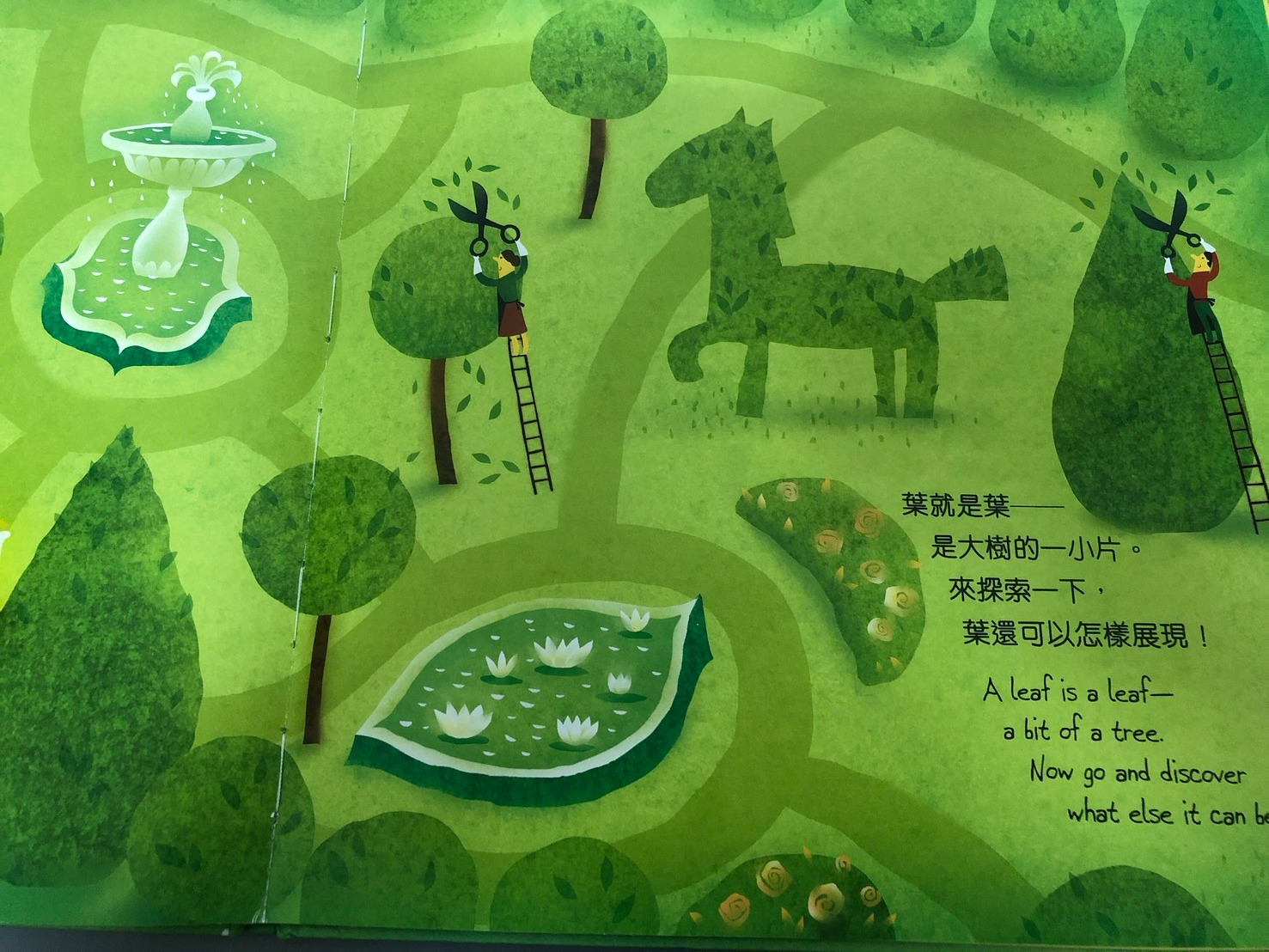 葉子， 還可以做什麼呢？⋯⋯你覺得呢？: )