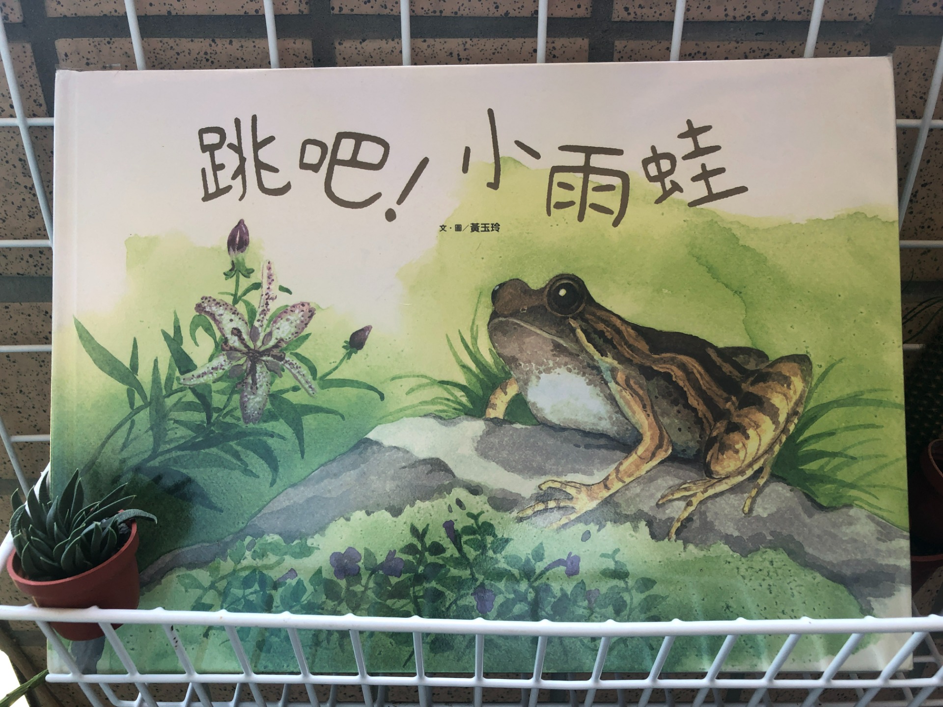 《跳吧！小雨蛙》，小光點出版